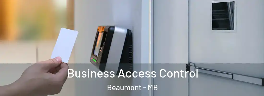  Business Access Control Beaumont - MB