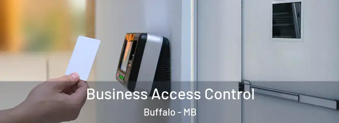  Business Access Control Buffalo - MB