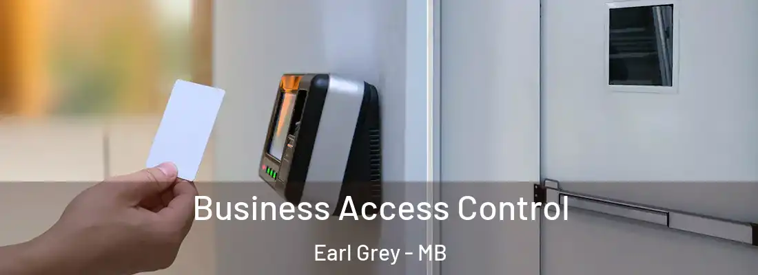  Business Access Control Earl Grey - MB