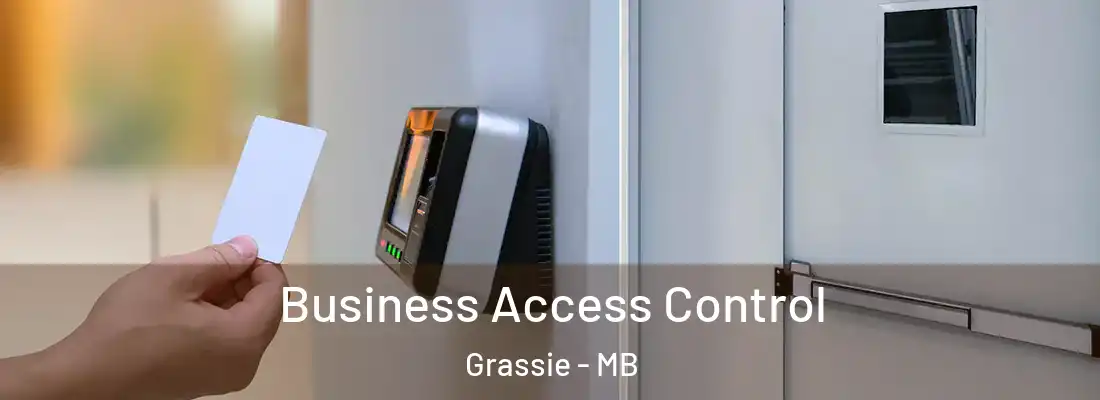  Business Access Control Grassie - MB
