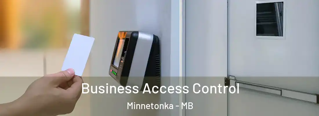  Business Access Control Minnetonka - MB