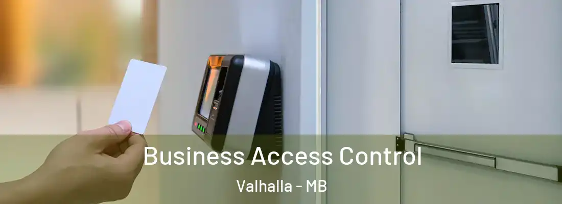  Business Access Control Valhalla - MB