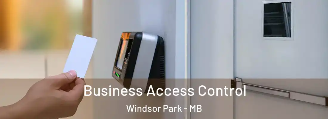  Business Access Control Windsor Park - MB