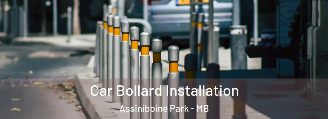  Car Bollard Installation Assiniboine Park - MB