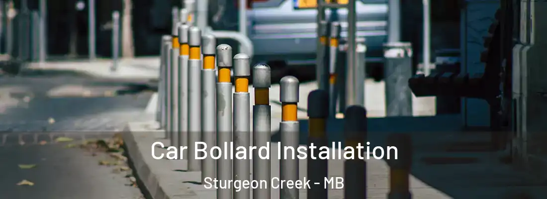  Car Bollard Installation Sturgeon Creek - MB