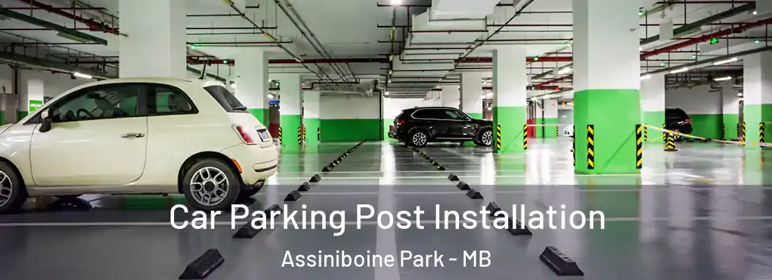  Car Parking Post Installation Assiniboine Park - MB