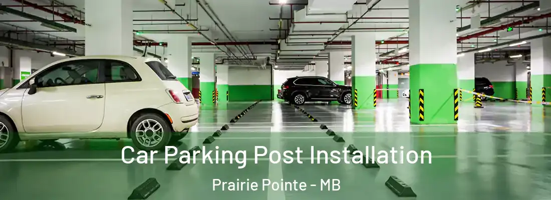  Car Parking Post Installation Prairie Pointe - MB