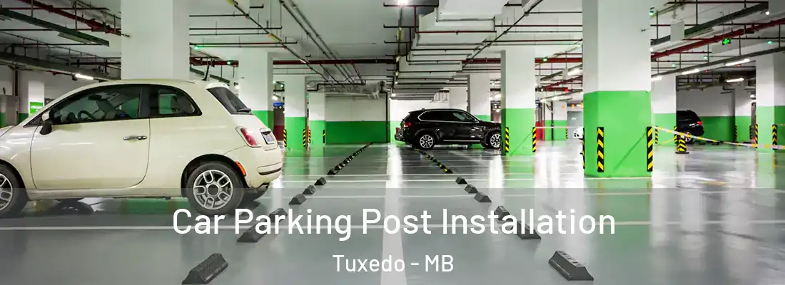  Car Parking Post Installation Tuxedo - MB