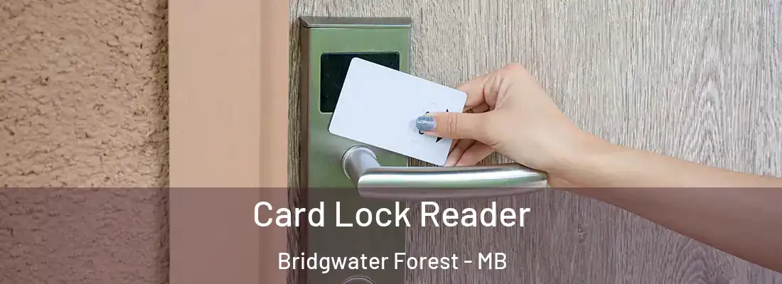  Card Lock Reader Bridgwater Forest - MB