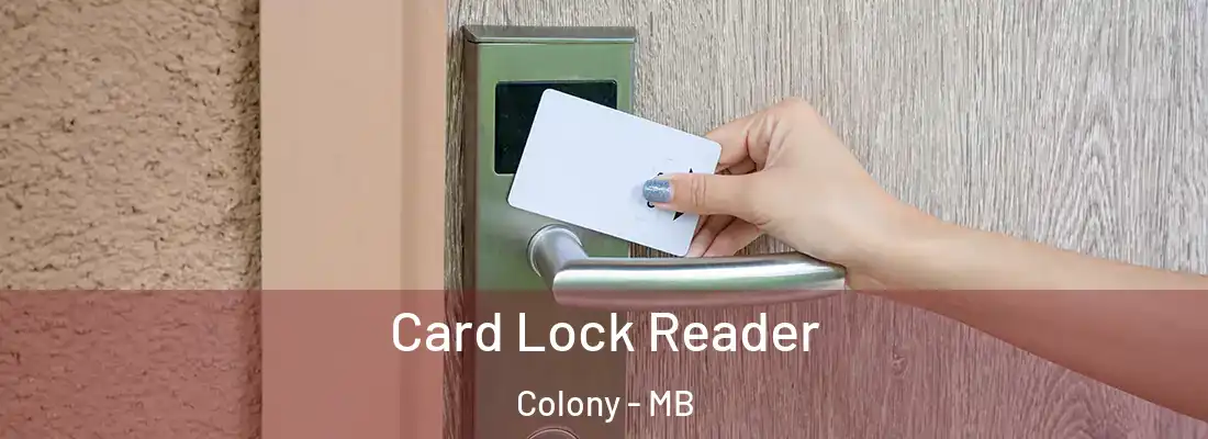  Card Lock Reader Colony - MB