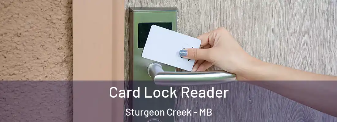  Card Lock Reader Sturgeon Creek - MB
