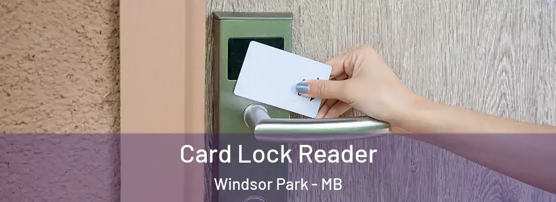  Card Lock Reader Windsor Park - MB