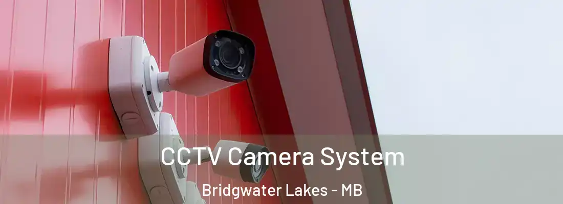  CCTV Camera System Bridgwater Lakes - MB