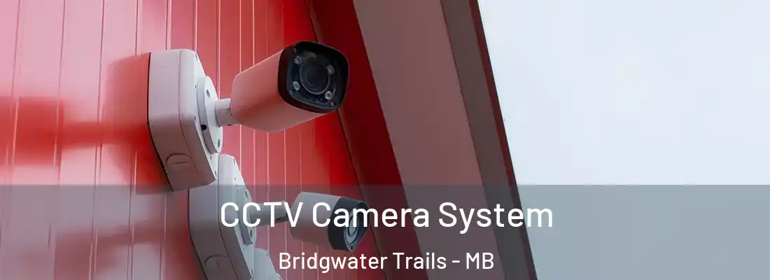 CCTV Camera System Bridgwater Trails - MB