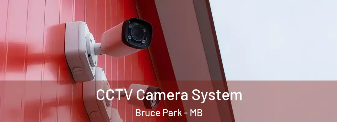  CCTV Camera System Bruce Park - MB
