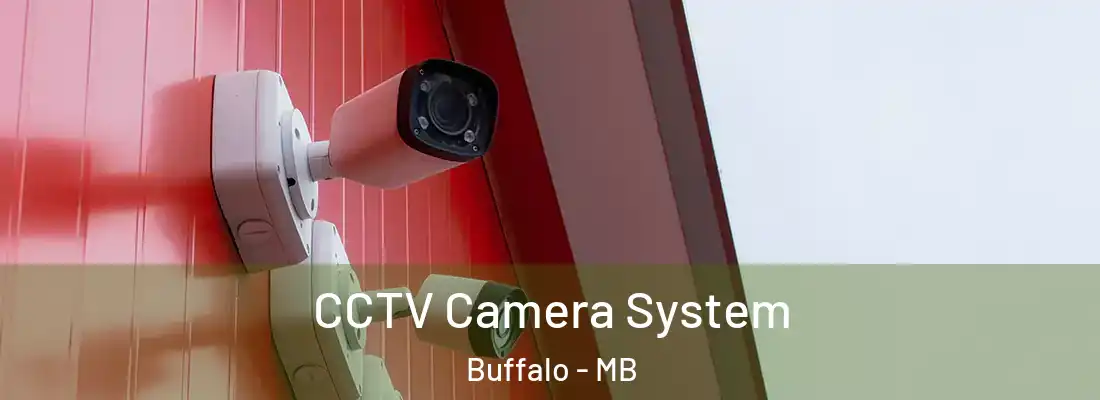  CCTV Camera System Buffalo - MB