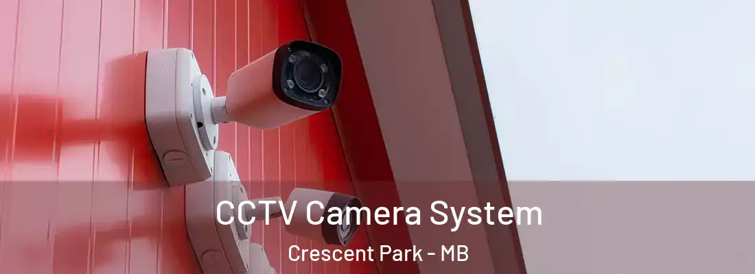  CCTV Camera System Crescent Park - MB