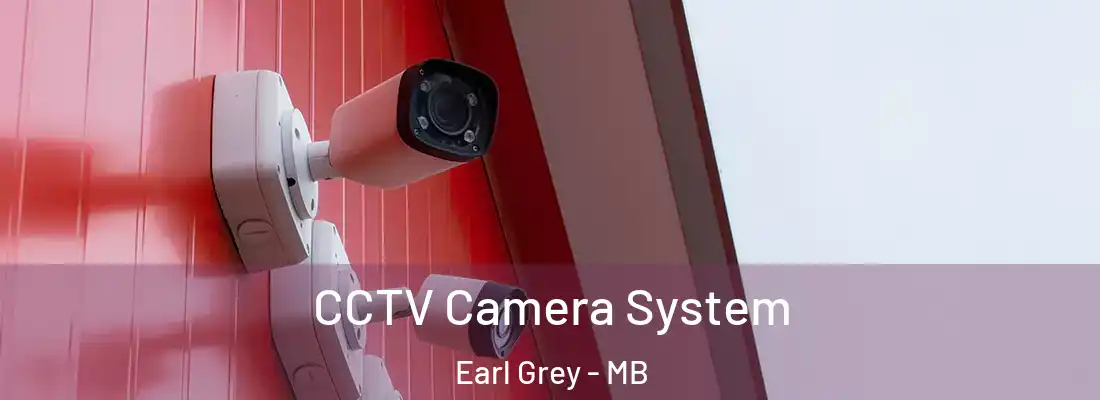  CCTV Camera System Earl Grey - MB