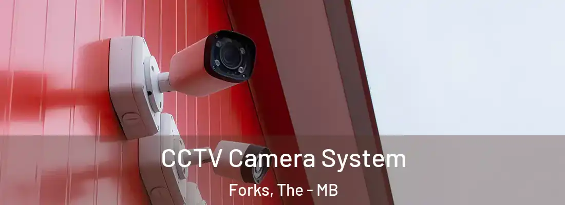  CCTV Camera System Forks, The - MB