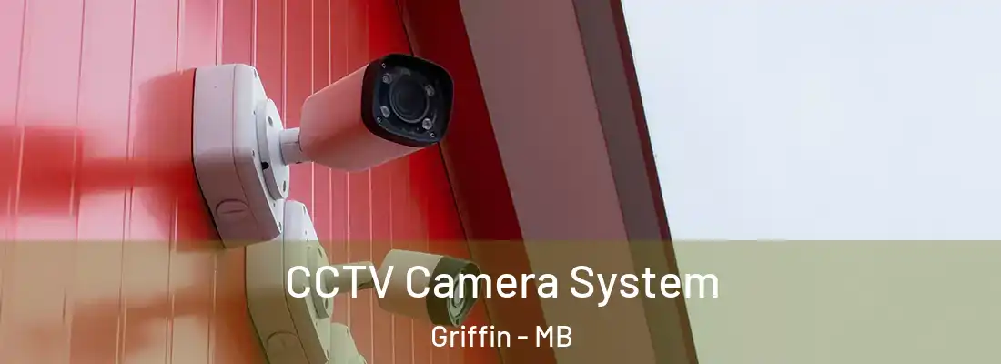  CCTV Camera System Griffin - MB