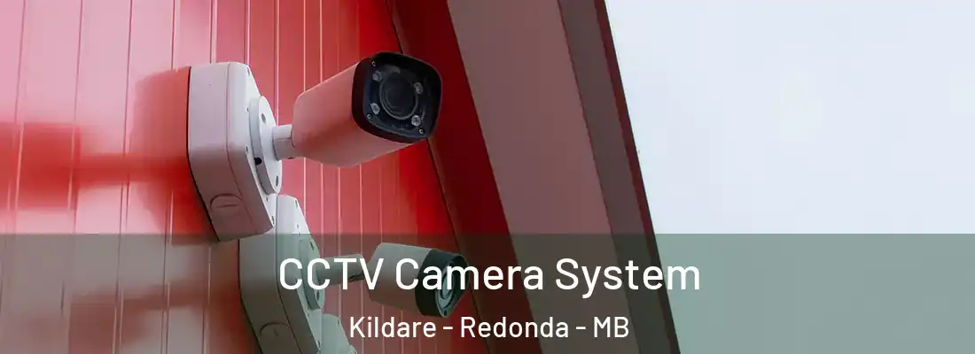  CCTV Camera System Kildare - Redonda - MB
