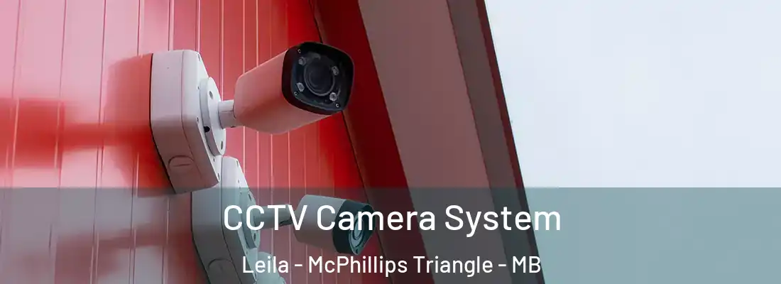  CCTV Camera System Leila - McPhillips Triangle - MB