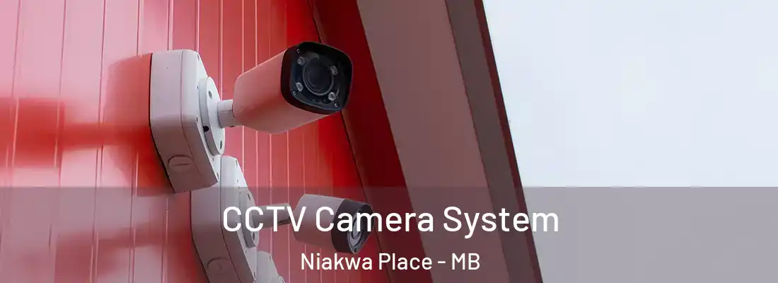  CCTV Camera System Niakwa Place - MB