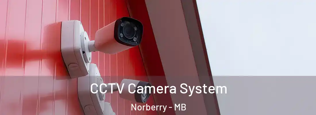  CCTV Camera System Norberry - MB