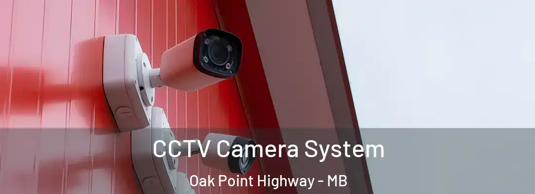  CCTV Camera System Oak Point Highway - MB