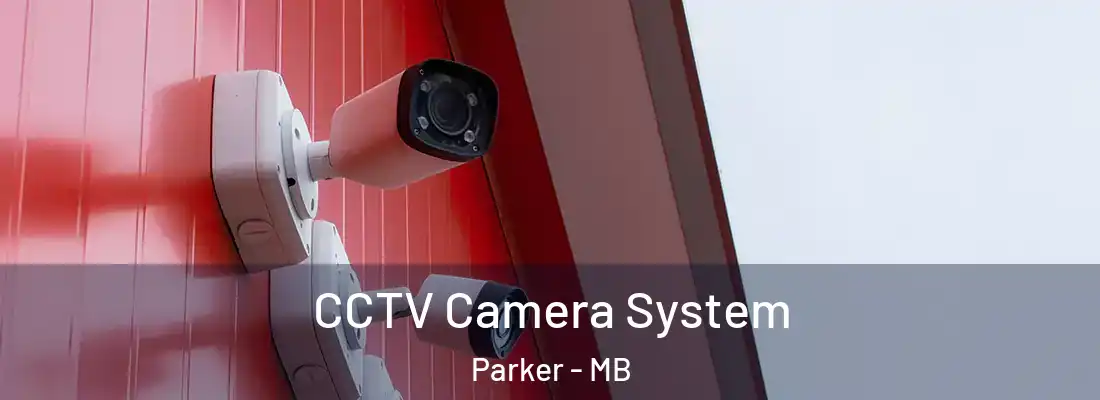  CCTV Camera System Parker - MB