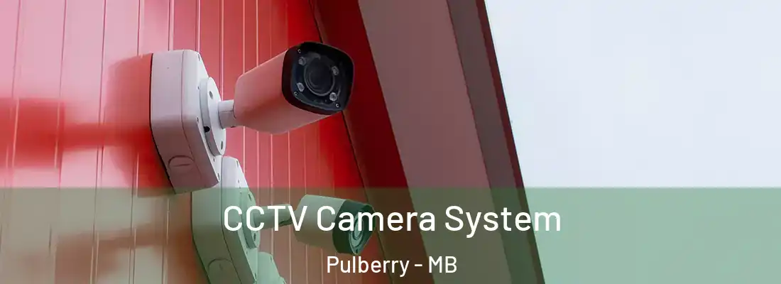  CCTV Camera System Pulberry - MB