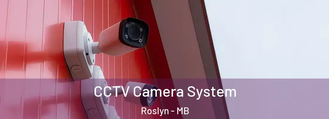  CCTV Camera System Roslyn - MB