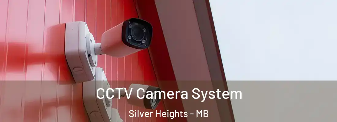 CCTV Camera System Silver Heights - MB