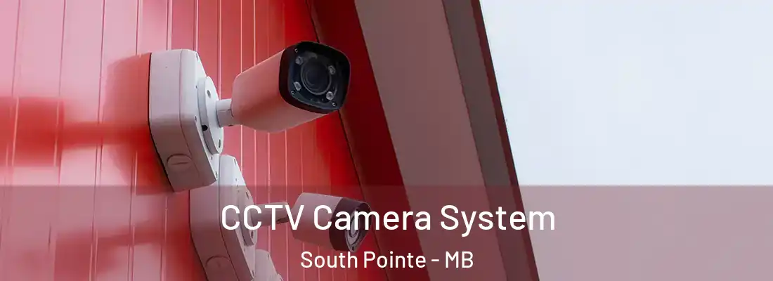  CCTV Camera System South Pointe - MB