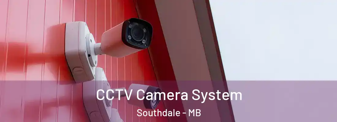  CCTV Camera System Southdale - MB