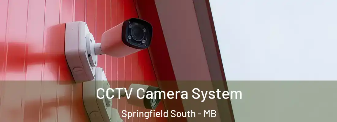  CCTV Camera System Springfield South - MB