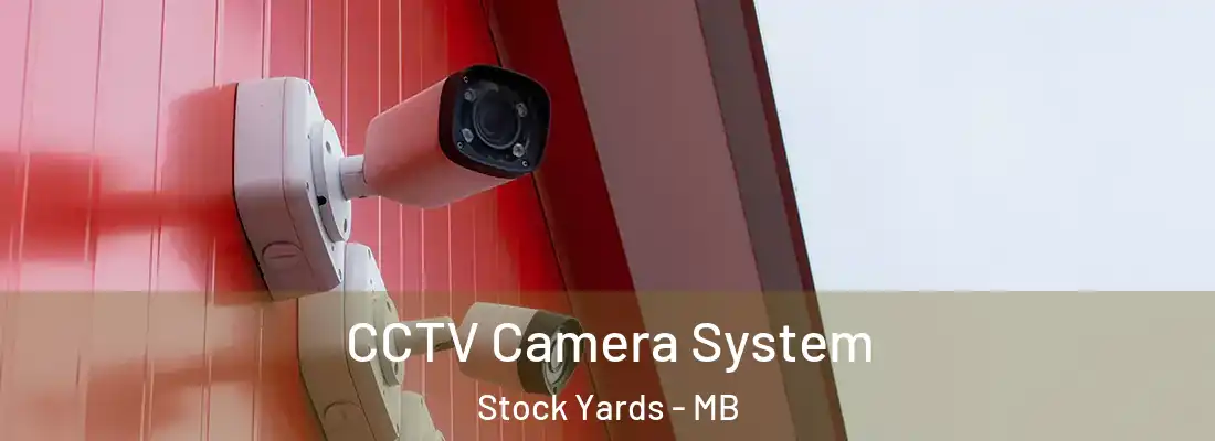  CCTV Camera System Stock Yards - MB