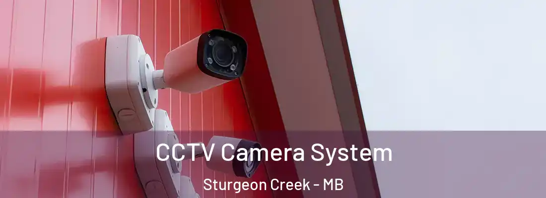  CCTV Camera System Sturgeon Creek - MB