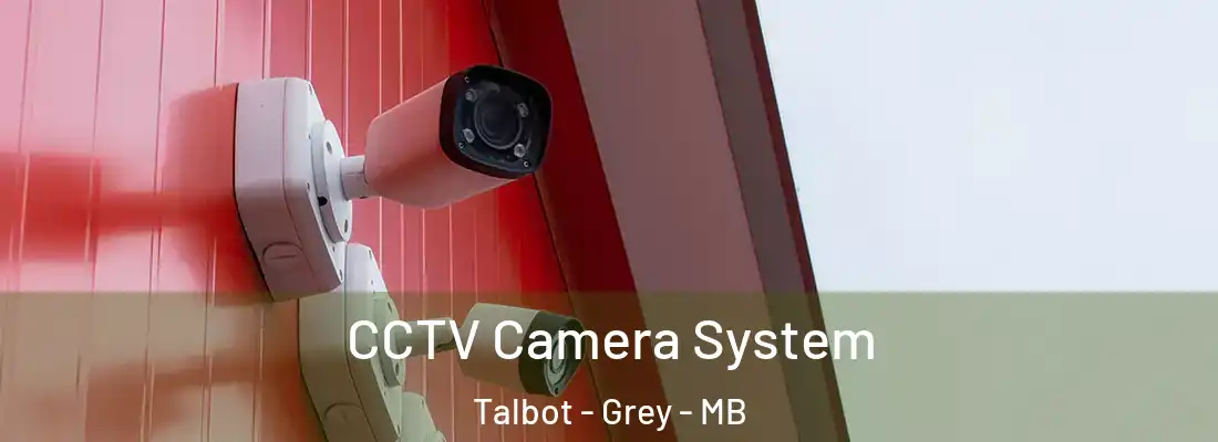  CCTV Camera System Talbot - Grey - MB