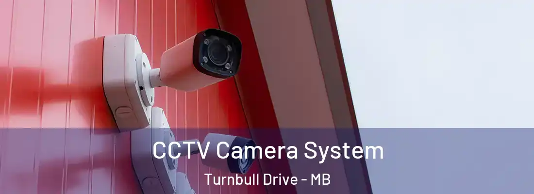  CCTV Camera System Turnbull Drive - MB