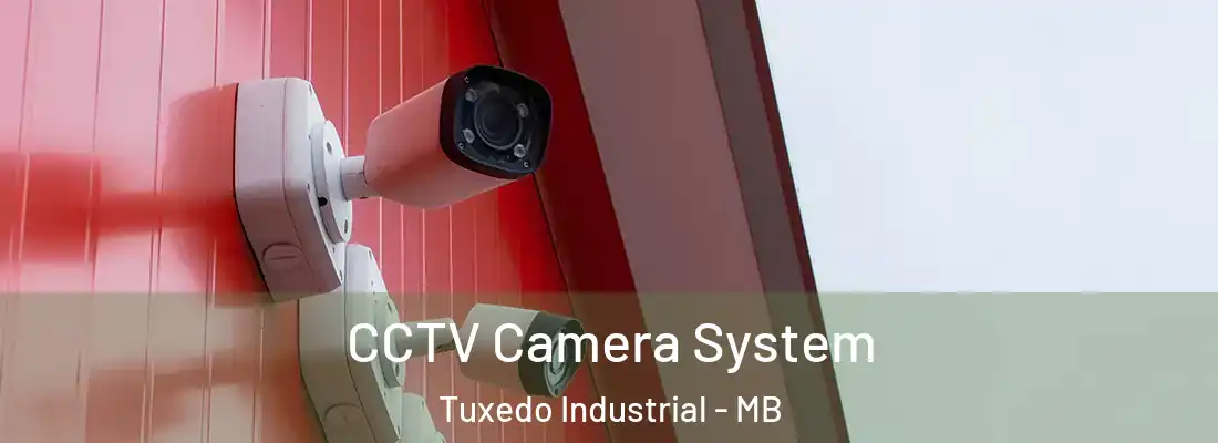  CCTV Camera System Tuxedo Industrial - MB