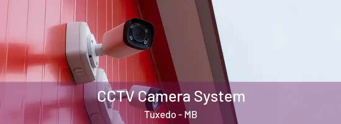  CCTV Camera System Tuxedo - MB