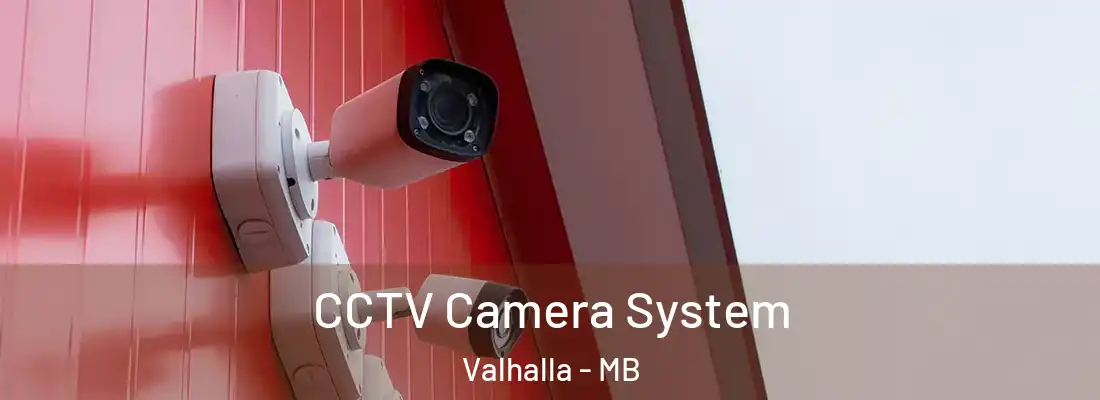  CCTV Camera System Valhalla - MB