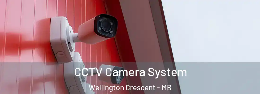  CCTV Camera System Wellington Crescent - MB