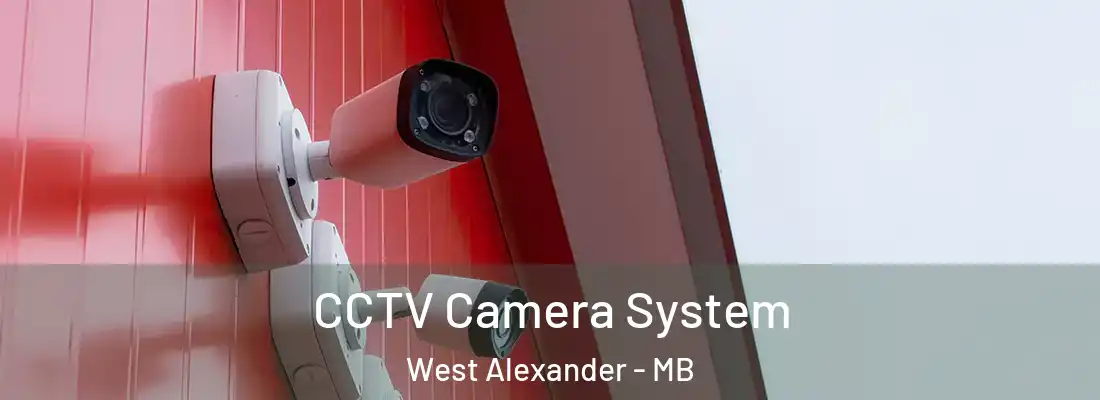  CCTV Camera System West Alexander - MB