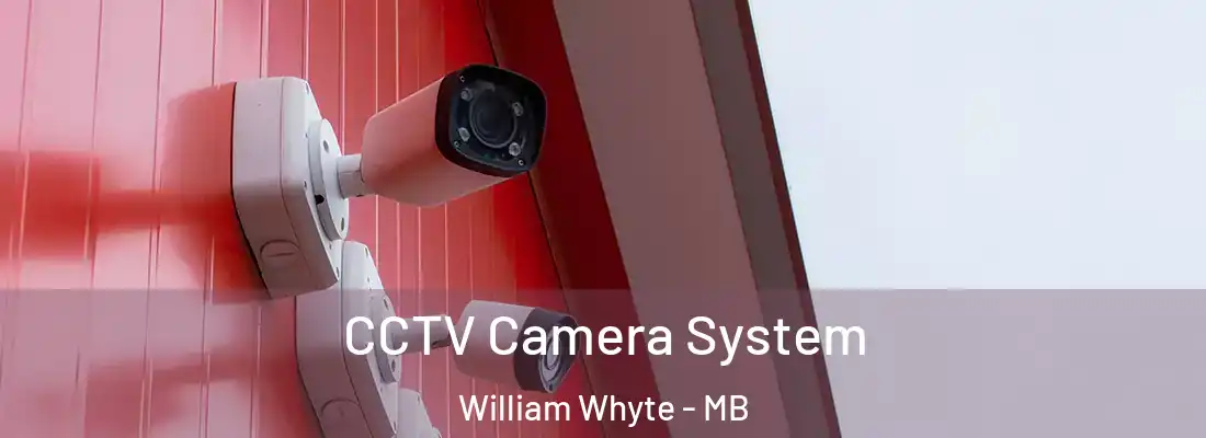  CCTV Camera System William Whyte - MB
