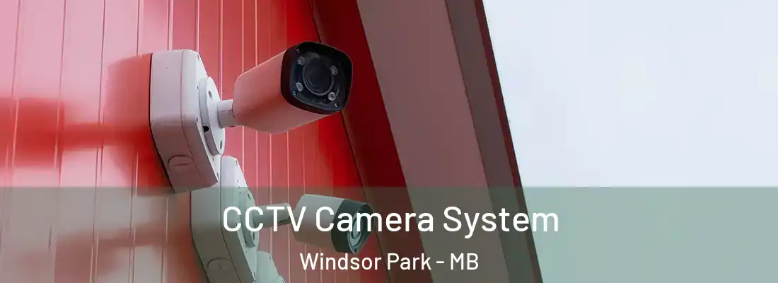  CCTV Camera System Windsor Park - MB