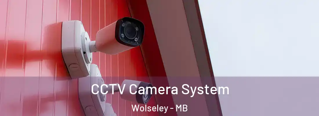  CCTV Camera System Wolseley - MB