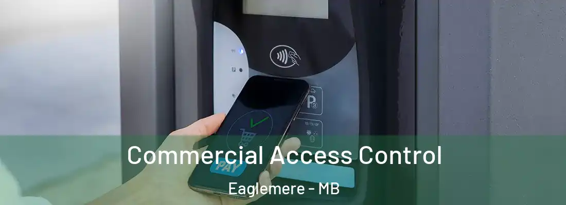  Commercial Access Control Eaglemere - MB