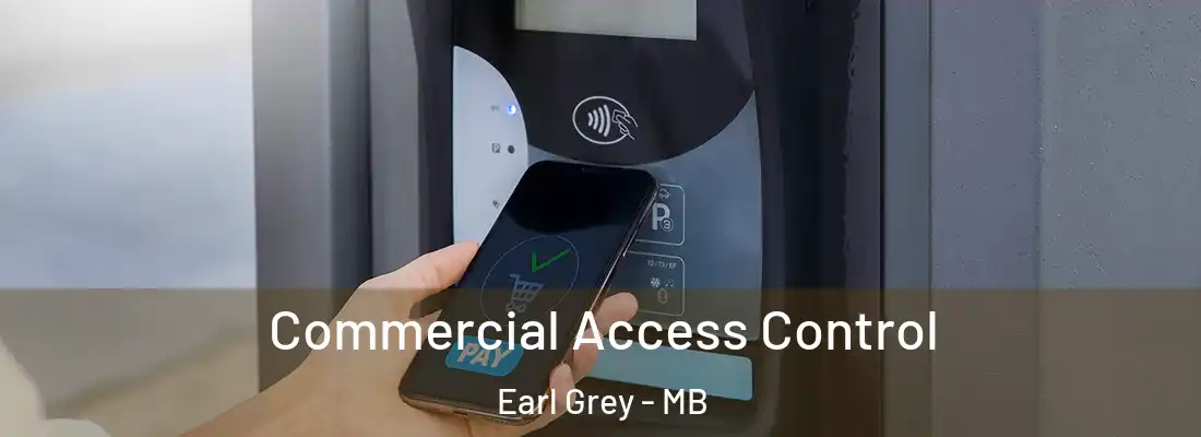  Commercial Access Control Earl Grey - MB